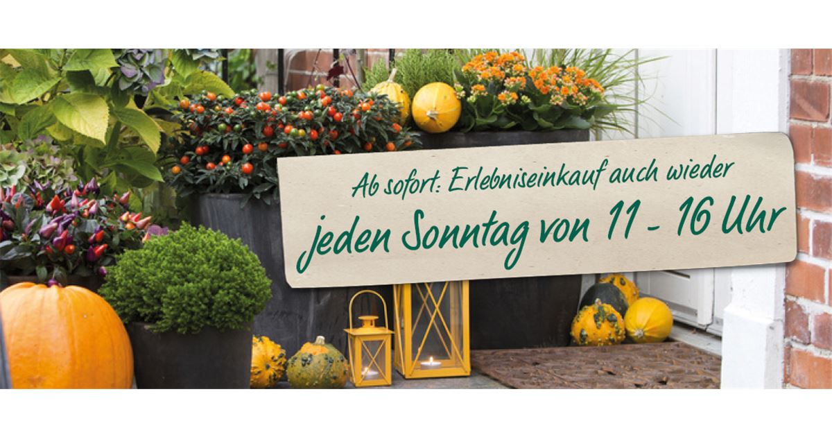 GartenCenter Spiering in Oberhausen und Wesel