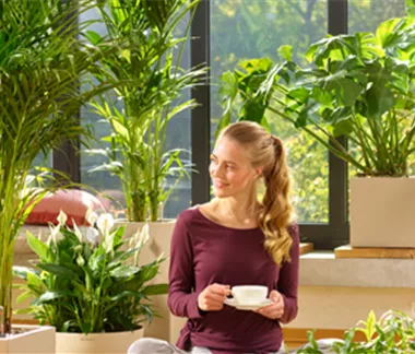 Luftverbesserer: Einfach tief durchatmen!