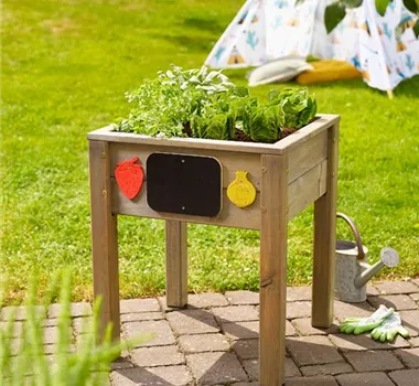 Pflanztipps im Hochbeet Pflanztipps im Hochbeet