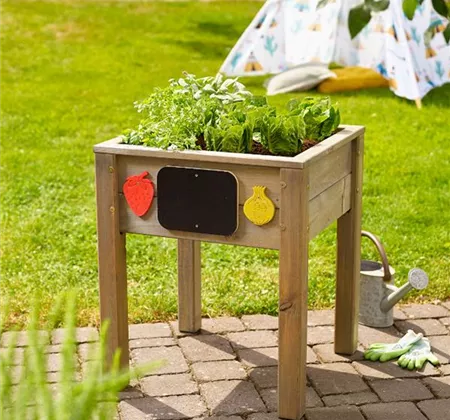 Pflanztipps im Hochbeet