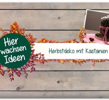 Herbstdeko mit Kastanien