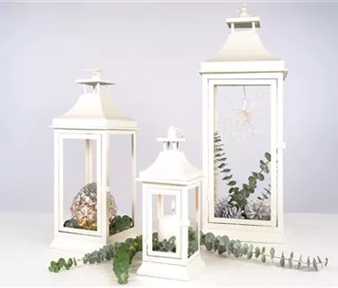 DIY Dekorierte Laterne