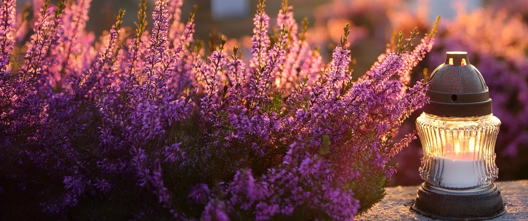 Öffnungszeiten Allerheiligen Öffnungszeiten Allerheiligen