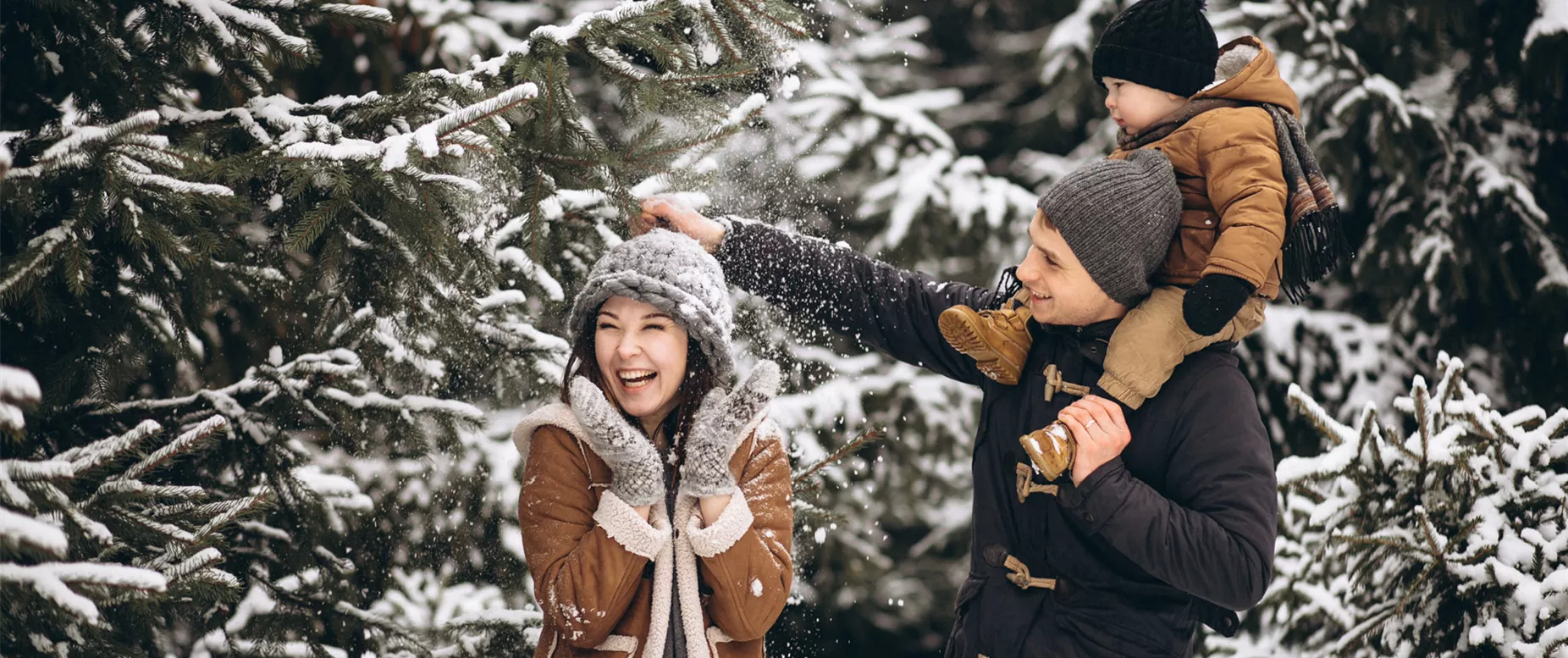 Familientag im Weihnachtswald