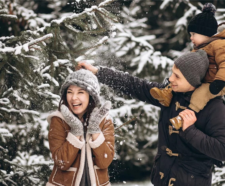 Familientag im Weihnachtswald