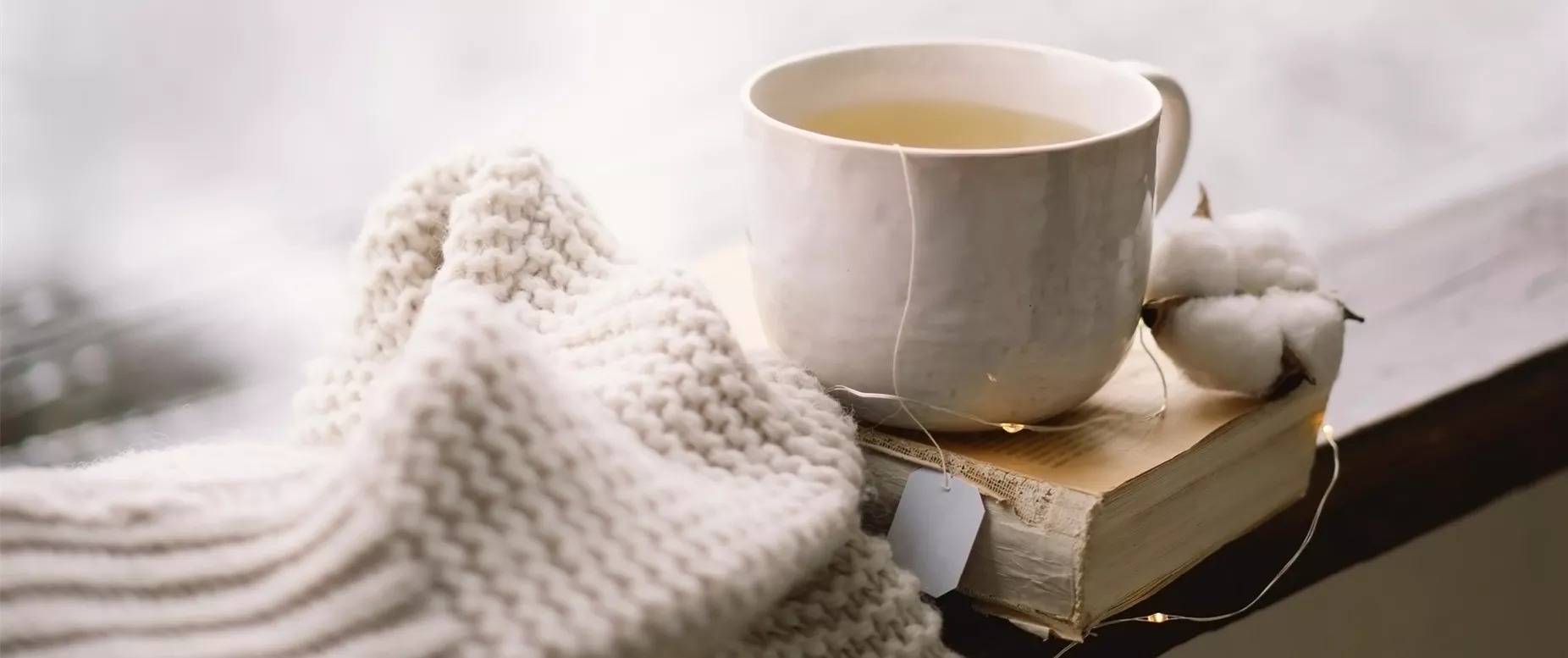 Jumbotron_Winterpäuschen LS2519703.jpg