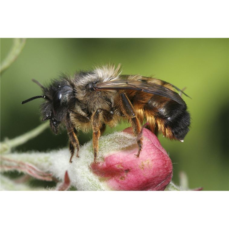 14.03.26 von 10 - ca. 12 Uhr