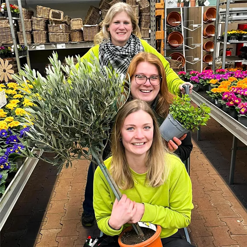 Azubi (m/w/d) als Pflanzenfachberater*in - mit dem Schwerpunkt Baumschule in Wesel
