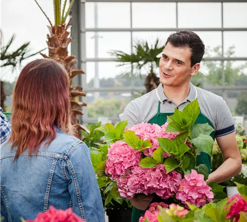 Gärtner*in (m/w/d) im Verkauf Baumschule in Vollzeit