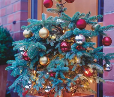 Traumhafte Last-Minute-Geschenke