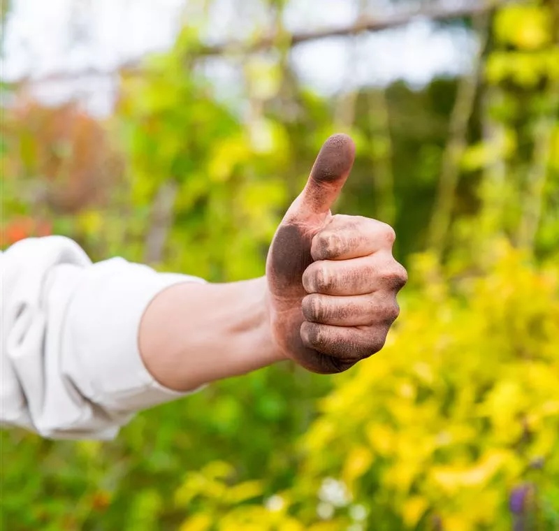Kundenzufriedenheit Kundenzufriedenheit