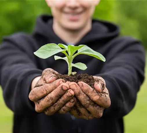 Ausbildung bei Spiering Ausbildung bei Spiering