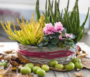 Terrasse & Balkon im November