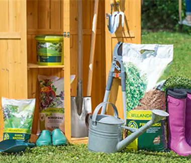 Allgemeine Gartenarbeit im Mai