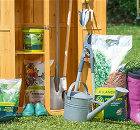 Allgemeine Gartenarbeit im Mai