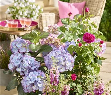 Terrasse & Balkon im Juni