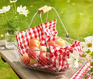 Gemüse-, Kräuter- und Obstgarten im September