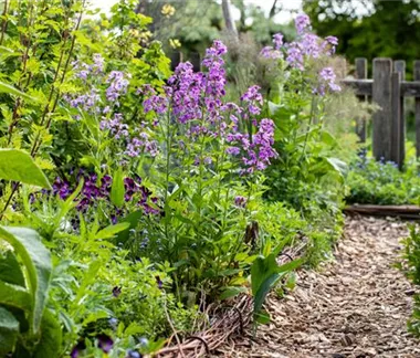 Allgemeine Gartenarbeit im April