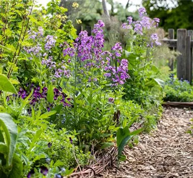 Allgemeine Gartenarbeit im April