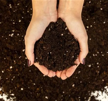 Terrasse & Balkon im Februar