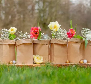 Ostern liegt in der Luft Ostern liegt in der Luft