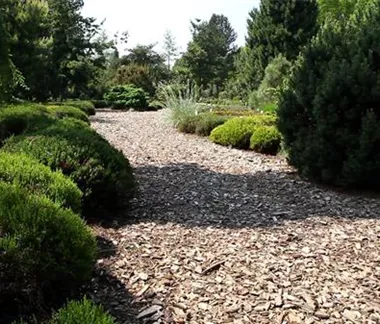 Allgemeine Gartenarbeit im Juli