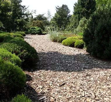 Allgemeine Gartenarbeit im Juli Allgemeine Gartenarbeit im Juli