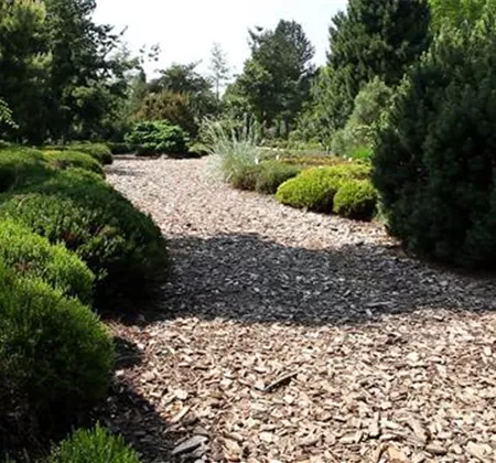 Allgemeine Gartenarbeit im Juli