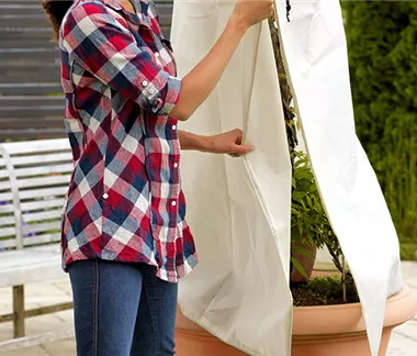 Winterschutz für mediterrane Pflanzen