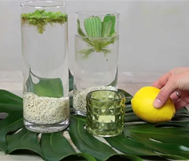 Erfrischende Wasserdeko