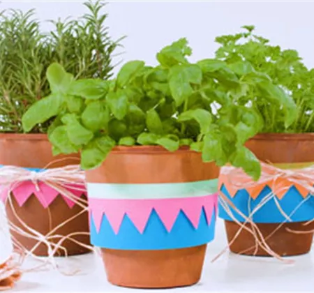 Fröhlich dekorierte Kräutertöpfe