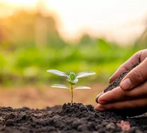 Qualitätsversprechen