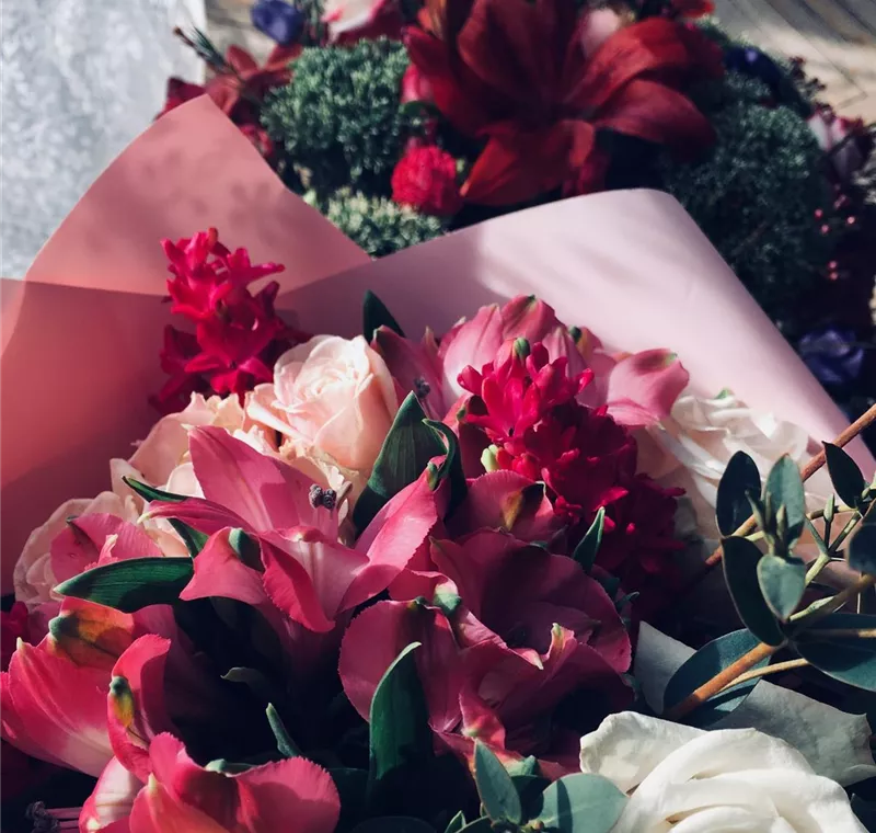 Inspiration Inspiration