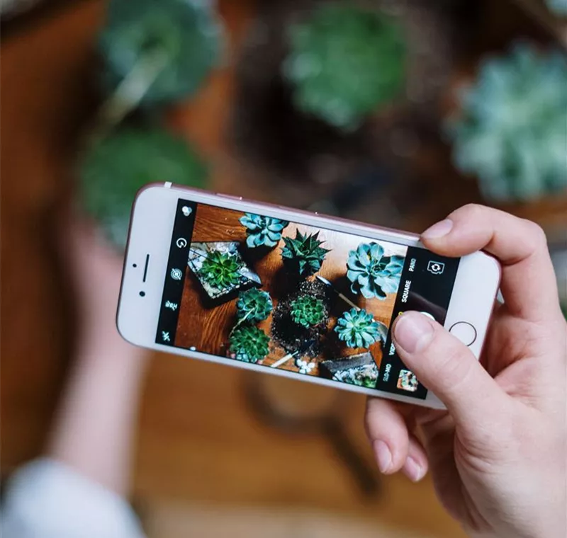 Newsletter Newsletter