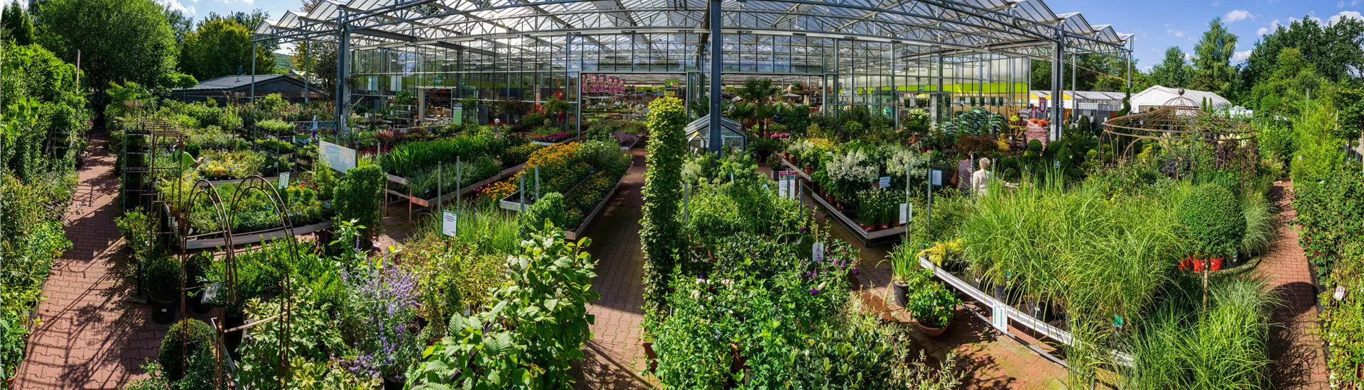 Jumbotron Gartenpflanzen.jpg Jumbotron Gartenpflanzen.jpg