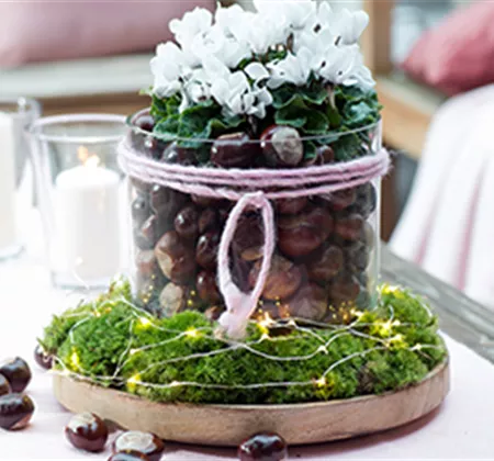 Herbstdeko mit Kastanien