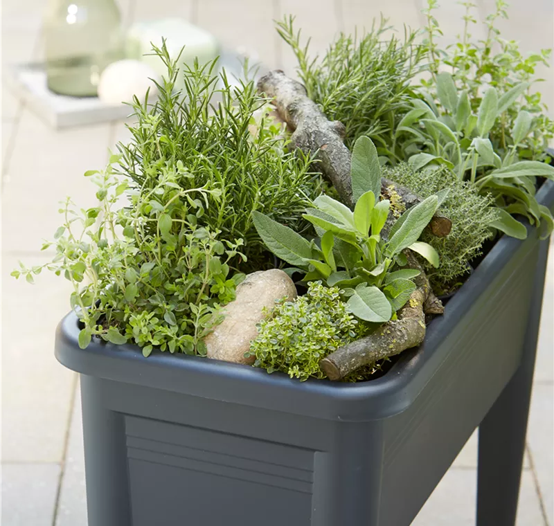 Aufbauservice Aufbauservice