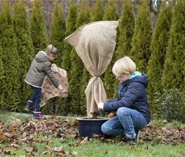 Allgemeine Gartenarbeit im November